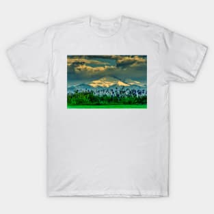 Summer Promises Return - Iris Sunrise T-Shirt